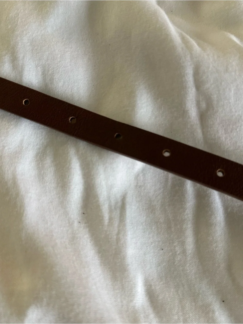 Brown Belt